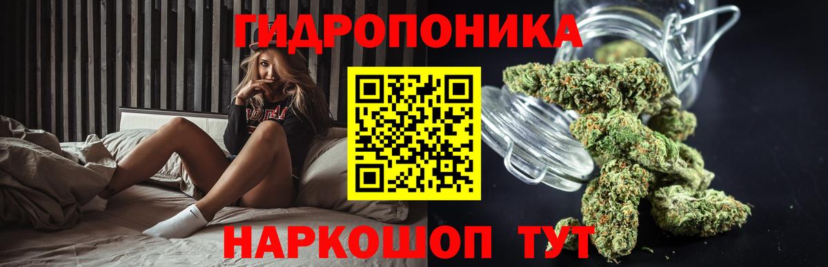 Каннабис конопля Тимашёвск
